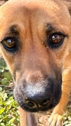 LASKA Imagen 5